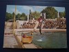 Carte postala constanta-delfinariu, Circulata, Fotografie