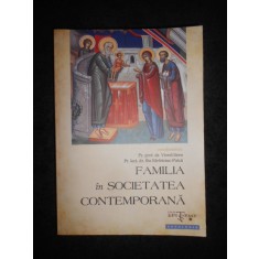 Viorel Sava, Ilie Melniciuc-Puica - Familia in societatea contemporana (2011)
