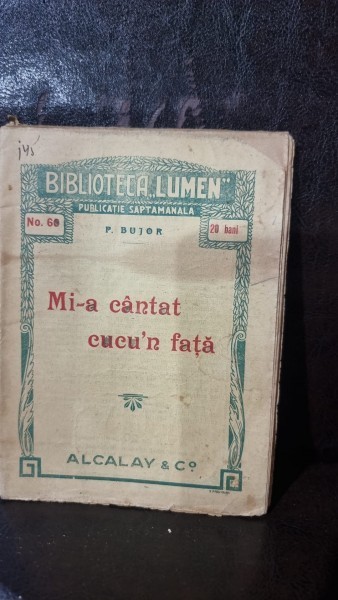 Mi-a cantat cucu-n fata - Paul Bujor