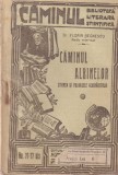 Dr. Florin Begnescu - Caminul albinelor. Stiinta si foloasele albinaritului