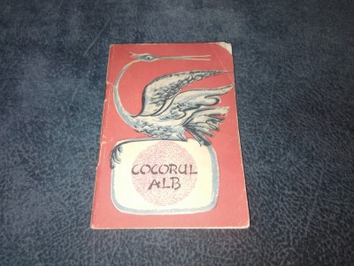 COCORUL ALB TRAISTA CU POVESTI foto