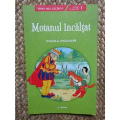 Motanul incaltat. Poveste cu pictograme. Citesc cu ajutor (Nivelul 1)