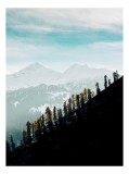 Tablou Canvas, "Copaci solitari pe culmea muntelui blanc", Cer, Munte, Zăpadă, Pădure, Umbre, Copaci, Orizont, Natural, Calm, Frumusețe, 26 x 39 cm, C