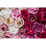 Tablou canvas Nuante de trandafiri, 45 x 30 cm