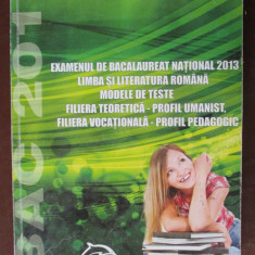 Examenul de bacalaureat national 2013. Limba si literatura romana-A.Hassoun, C.Borza, M.Buzatu, N.Popa, T.Dej