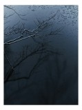Tablou Canvas, "Reflecții și tăcere sub ploaie", Ramură, Reflexie, Apă, Ploaie, Umbre, &Icirc;ntuneric, Liniște, 26 x 39 cm, CMCLASS