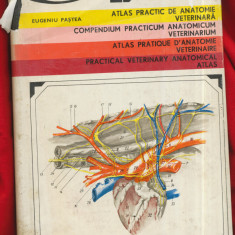 "Atlas practic de anatomie veterinara" - Eugeniu Pastea - 1979