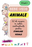 Cartonase Bebe vede Animale