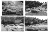 M2012N Trovanți &icirc;n mediu natural, Rom&acirc;nia, lot de 4 fotografii