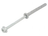 Plastic Anchor with Screw 10x100 Zinc-Plated Steel