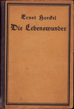 HST C6187 Die Lebenswunder .. Biologische 1904 Ernst Haeckel