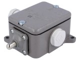 Limitator cursă bolţ NO/NC 16A IP56 LK-10
