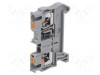 Terminator &icirc;mbinare șine PHOENIX CONTACT PT 500mA 800V push-in pentru șină DIN