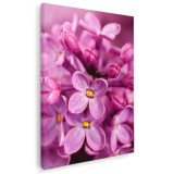 Tablou floare liliac detaliu Tablou canvas pe panza CU RAMA 30x40 cm