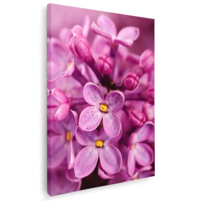 Tablou floare liliac detaliu Tablou canvas pe panza CU RAMA 60x90 cm foto