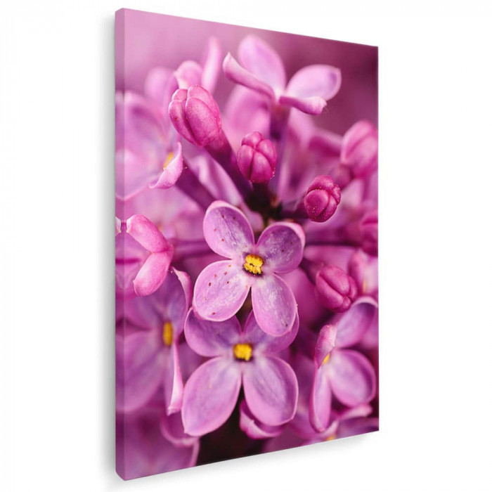 Tablou floare liliac detaliu Tablou canvas pe panza CU RAMA 20x30 cm