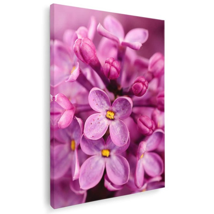 Tablou floare liliac detaliu Tablou canvas pe panza CU RAMA 60x90 cm