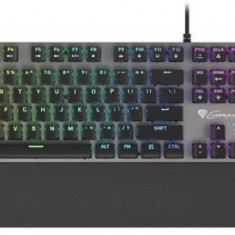 Tastatura Gaming Genesis Thor 380 RGB (Negru/Gri)