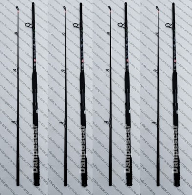 SET 4 Lansete SOMN Diamant DTM Catfish Lungime: 2,40m ACTIUNE 400 g foto
