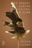 Cumpara ieftin Pe pamant suntem stralucitori o clipa/Ocean Vuong