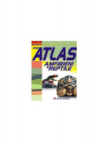 Mic atlas. Amfibieni şi reptile - Paperback brosat - Aurora Mihail - All