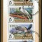 INSULELE SOLOMON 2015 - Fauna, Vulturi australieni / colita + bloc ( 2 imagini)