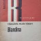 BLANDINA-MARGARITA MILLER VERGHY-248452