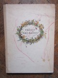 Radost nad radost - ČAREK JAN IN LIMBA CEHA CU AUTOGRAF, 1963