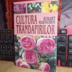 ECKART HAENCHEN - CULTURA TRANDAFIRILOR , 2008 *