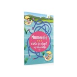 Carte de colorat cu activități. Numerele (3-5 ani) - Paperback - *** - Gama