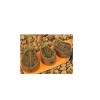 METHOD FEEDER GURU IN LINE HYBRID 55G MARIME L