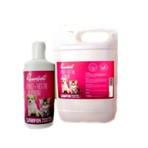 Sampon Pro-Vital Junior cu germeni de grau pentru caini si pisici 