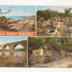 FS1 - Carte Postala - ALGERIA - Tipaza, Ruinele Romane, circulata 1982