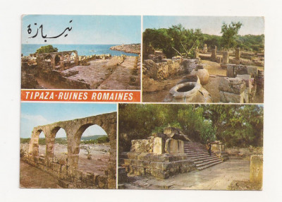 FS1 - Carte Postala - ALGERIA - Tipaza, Ruinele Romane, circulata 1982 foto