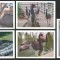 Carte postala Moldova 2023 - Grădina Zoologică din Chișinău, fauna