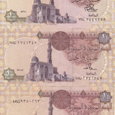 EGIPT lot 3 buc. X 1 pound - semnaturi diferite XF/XF+!!!