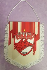 Fanioane Dinamo foto
