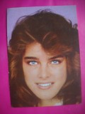 HOPCT 10442 BROOKE SHIELDS -ACTORI SI ARTISTI CELEBRI -NECIRCULATA,