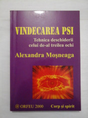 VINDECAREA PSI - TEHNICA DESCHIDERII CELUI DE AL TREILEA OCHI - ALEXANDRA MOSNEAGA foto