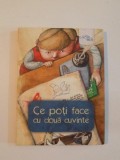 CE POTI FACE CU DOUA CUVINTE , volum coordonat de LIVIU PAPADIMA , ilustratii de IRINA DOBRESCU , 2012