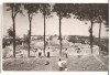 CPIB 22070 - CARTE POSTALA - SUCEAVA. RUINELE CETATII, RPR, Circulata, Fotografie