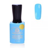 Cumpara ieftin Oja semipermanenta Premium 15 ml, 069