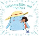 Cartea emotiilor mele. Tristetea, DPH