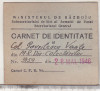 Bnk div Carnet de identitate Ministerul de razboi 1946, Romania 1900 - 1950, Documente