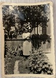 1937 Bucuresti mama lui Georges Dumitresco cu pisica, semnata olograf de pictor