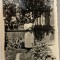 1937 Bucuresti mama lui Georges Dumitresco cu pisica, semnata olograf de pictor