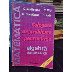 CULEGERE DE PROBLEME PENTRU LICEU. ALGEBRA CLASELE IX-XII - C. NASTASESCU
