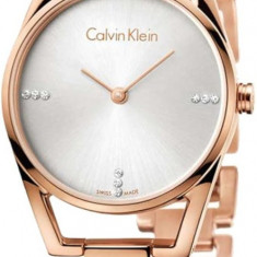 Ceas Dama, Calvin Klein, Dainty K7L2364T - Marime universala