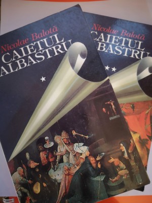 Caietul albastru - Timp mort 1954-1955, Remember 1991-1998 - Nicolae Balota - 2 volume foto