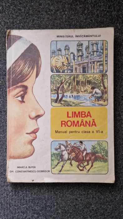 LIMBA ROMANA MANUAL PENTRU CLASA A VI-A - Butoi, Constantinescu-Dobridor